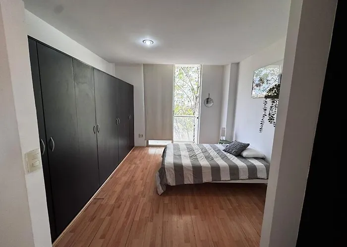 Apartment Incredibly Comfortable In North Rome Mexico City