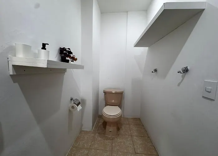 Incredibly Comfortable In North Rome Apartment Mexico City