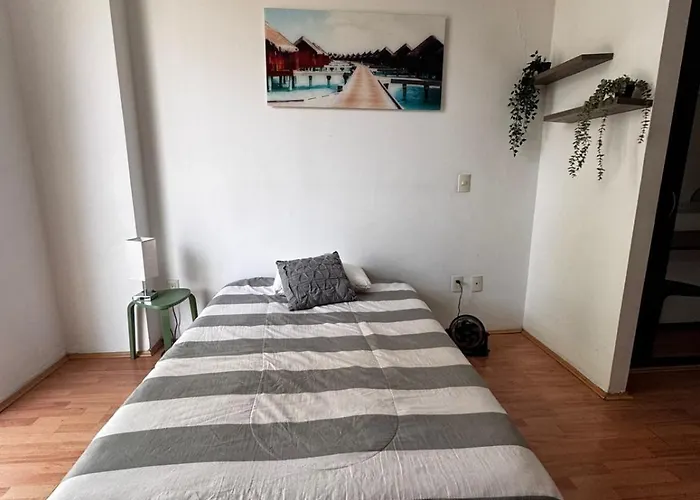 Incredibly Comfortable In North Rome Mexico City